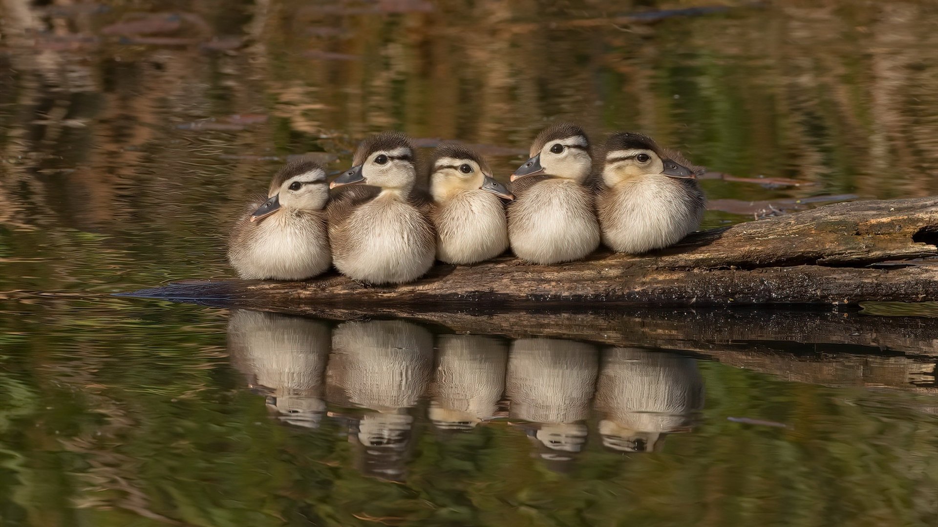 量子纠缠的秘密，索伯车队如何用爱因斯坦-罗森桥在摩纳哥逆转红牛
