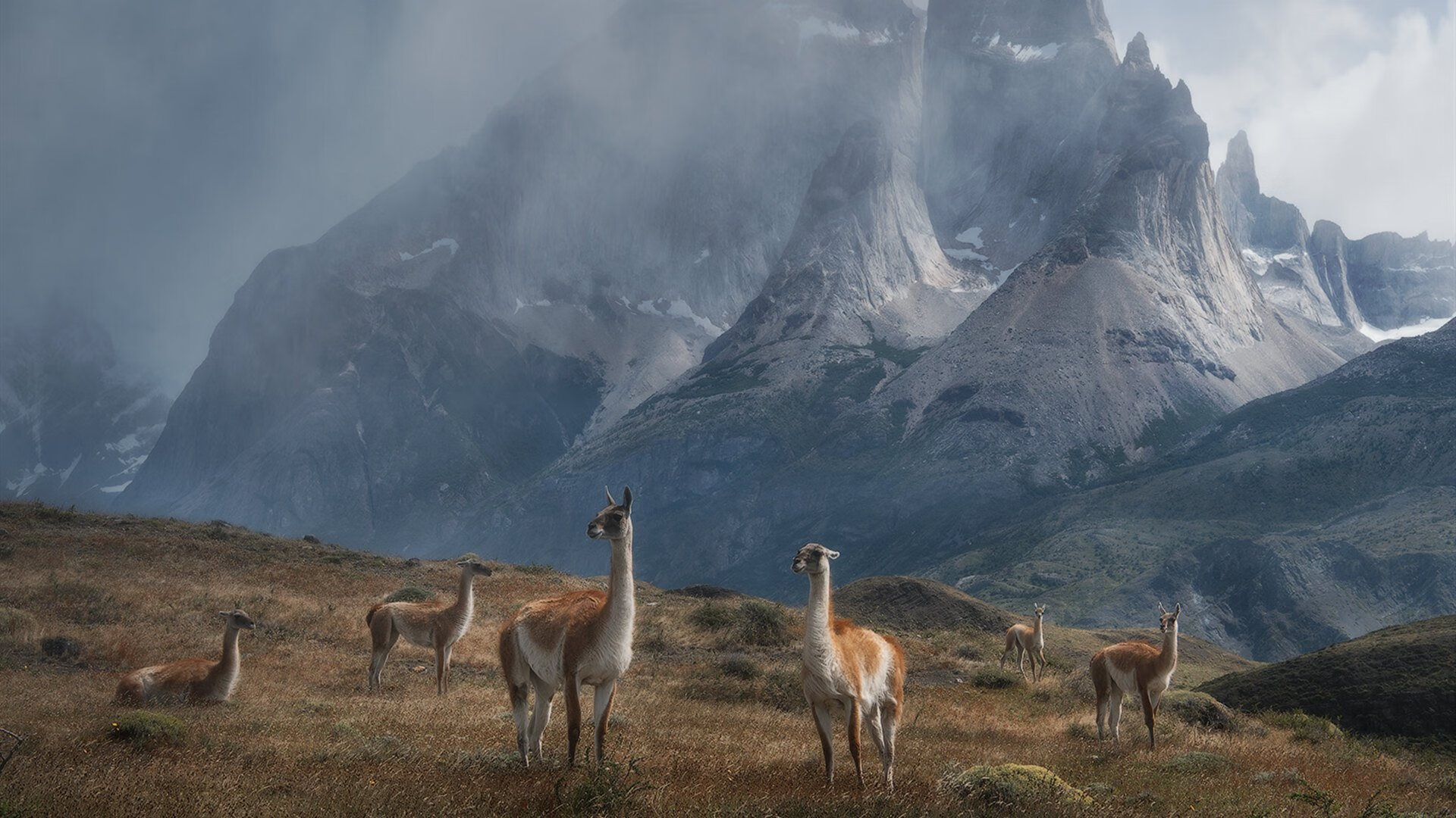 新约基奇闪耀！山西团队篮球加时掀翻卫冕冠军辽宁
