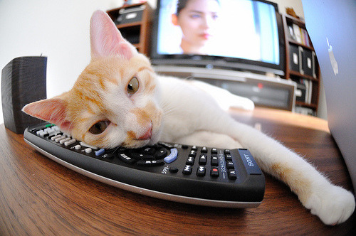 约基奇的欧冠决赛之夜，当篮球场变成绿茵场