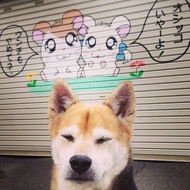 铁翼遮天，老鹰窒息式防守绞杀鹈鹕进攻命脉