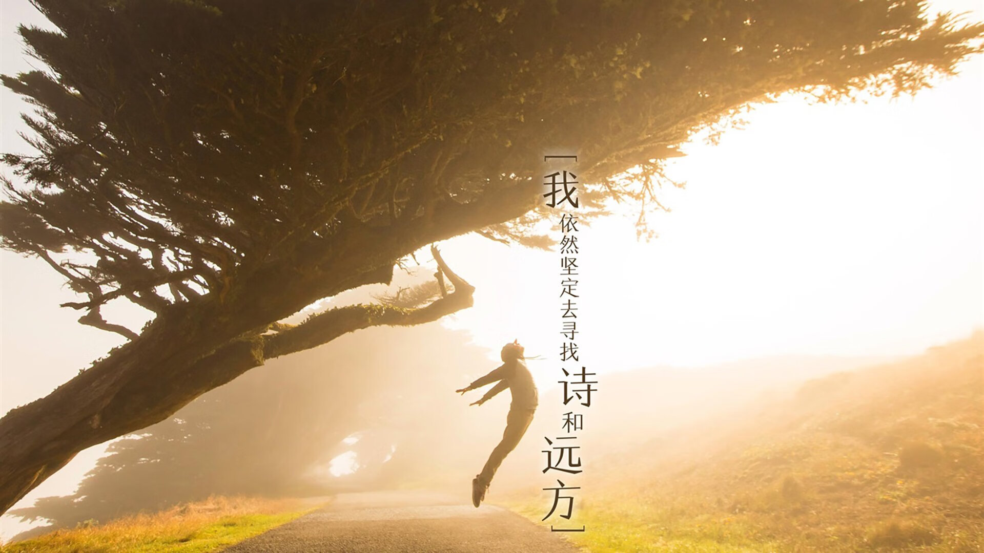 钢铁玫瑰绽放安菲尔德，苏亚雷斯弑旧主导演西班牙突围奇迹