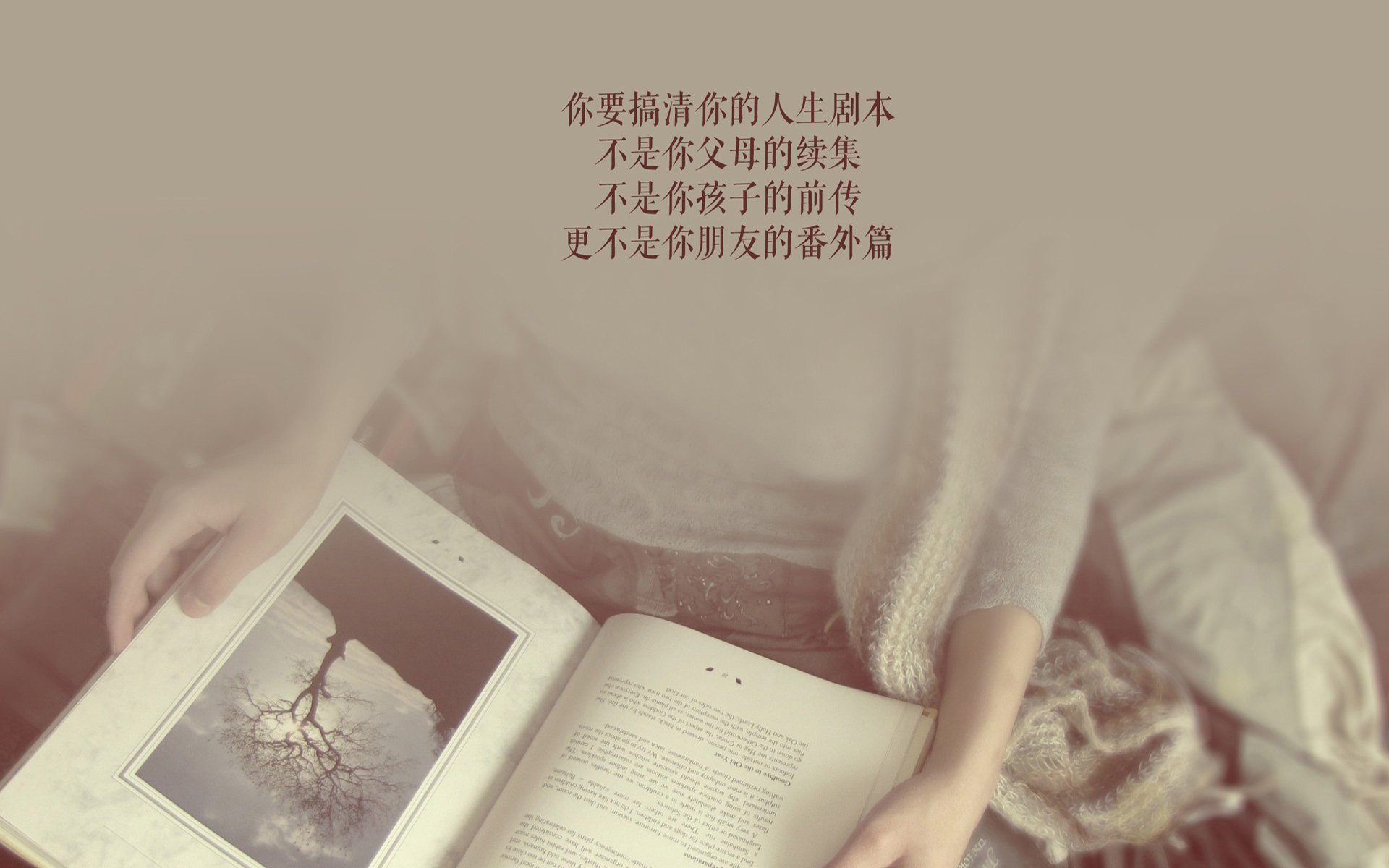约基奇三双之夜,杰伦·格林上演王权前的独舞