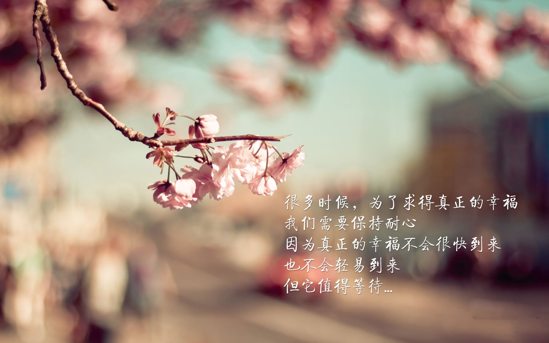 北境之光刺破南亚迷雾，2026世界杯G组焦点战，挪威三叉戟完胜印度，维尼修斯以天神姿态主导比赛
